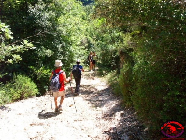 Escursione alle Gole del Rapido 07-08-2011
