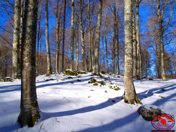 Ciaspolata sulla neve - Forca d-Acero_30