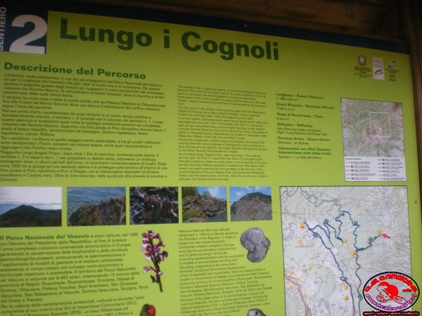 Escursione trekking sul Vesuvio 29 aprile 2012_8