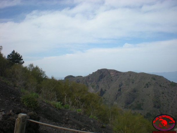 Escursione trekking sul Vesuvio 29 aprile 2012_13