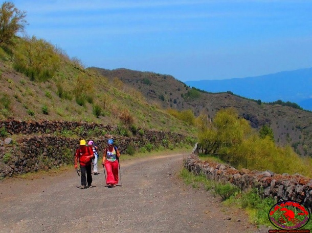 Escursione trekking sul Vesuvio 29 aprile 2012_43